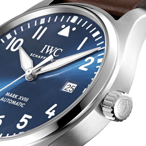 ceas iwc schaffhausen|iwc schaffhausen watches.